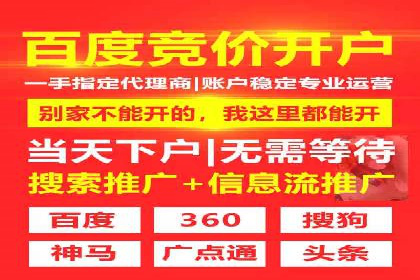 搜索引擎营销（SEM）的精准投放技巧案例